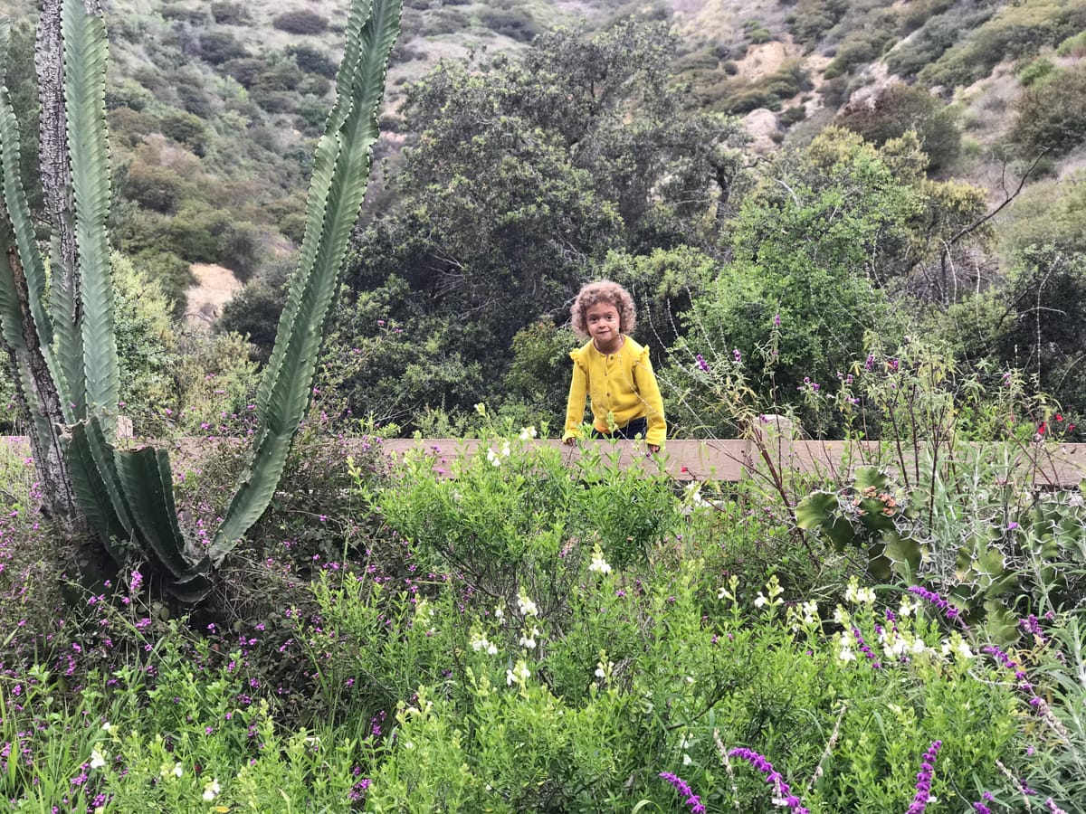 Writing Lessons #2: Writers Are Sluts