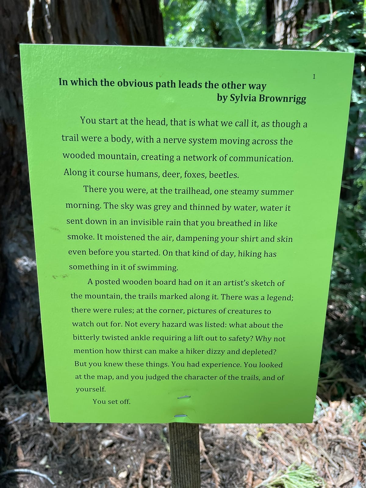 Parenting #8: Raising an Art Monster