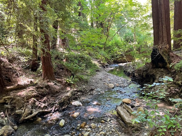 2024 Resolution: Finishing Shit