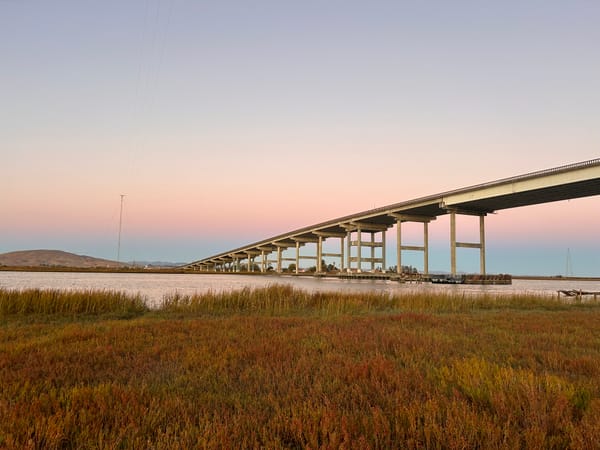 WHILE THE CATS ARE AWAY