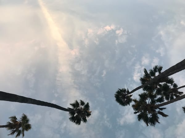 SILVER LAKE MEMORIES