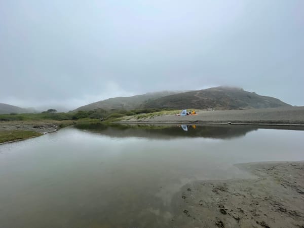 Artist's Date #7: Muir Beach