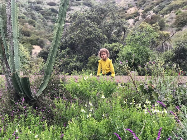 Writing Lessons #2: Writers Are Sluts