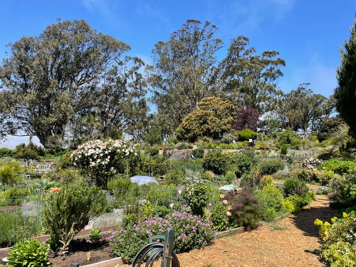 White Knuckle Motherhood