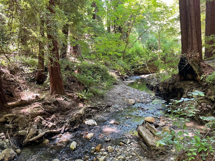 2024 Resolution: Finishing Shit