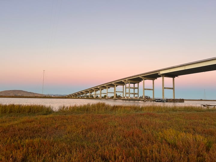 WHILE THE CATS ARE AWAY