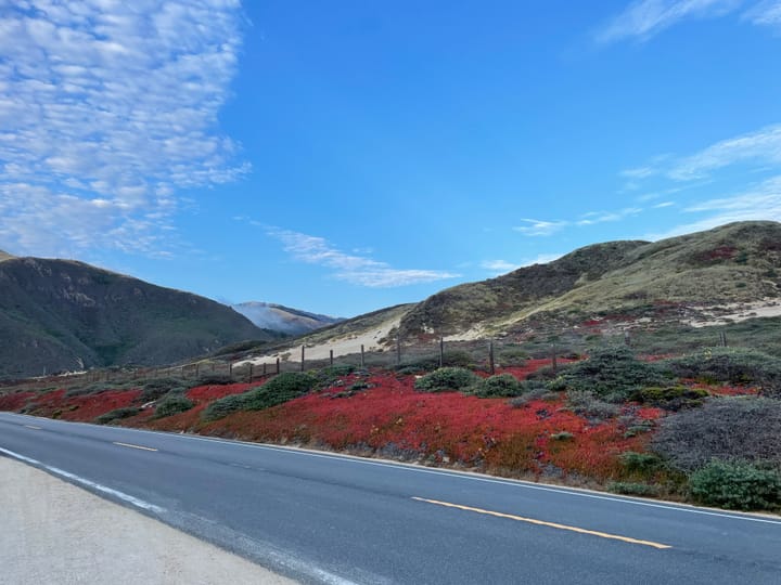 Artist's Date #5: Big Sur