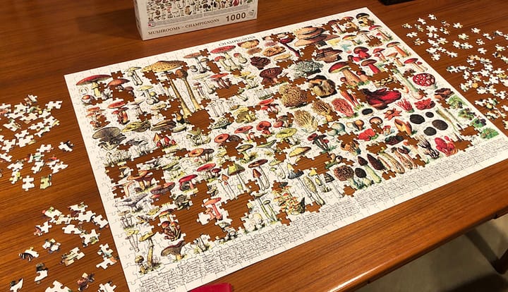 how to face disappointment