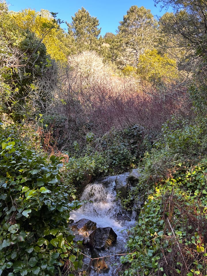 Drinking from the Well of Creativity